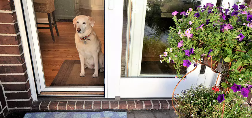 Best Sliding Backyard Door Repair in Alafaya, FL