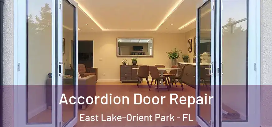  Accordion Door Repair East Lake-Orient Park - FL