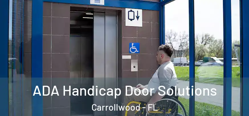 ADA Handicap Door Solutions Carrollwood - FL