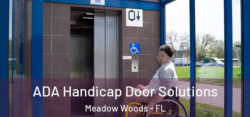 ADA Handicap Door Solutions Meadow Woods - FL