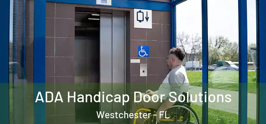ADA Handicap Door Solutions Westchester - FL