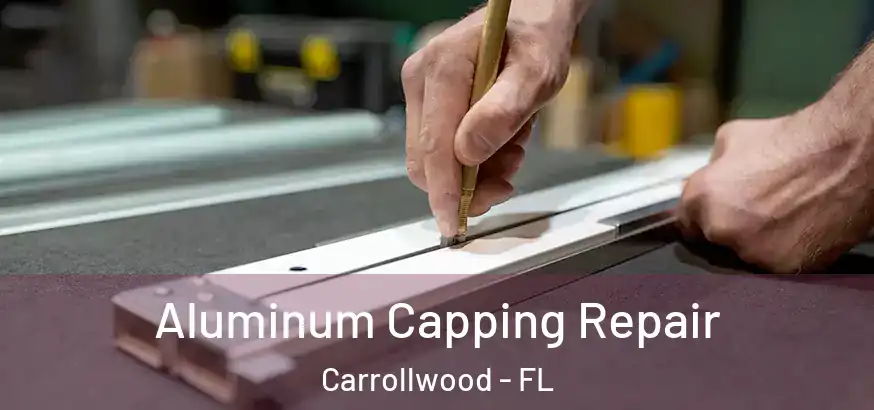  Aluminum Capping Repair Carrollwood - FL