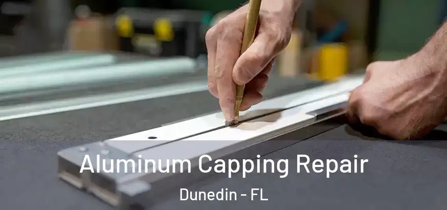  Aluminum Capping Repair Dunedin - FL