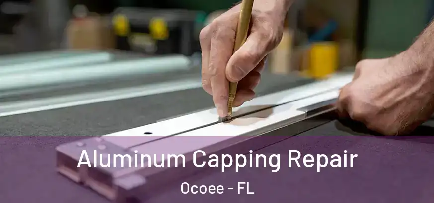  Aluminum Capping Repair Ocoee - FL