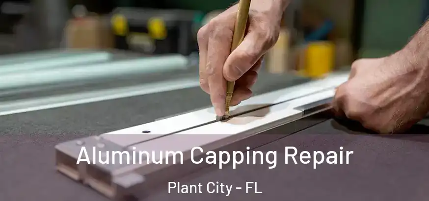 Aluminum Capping Repair Plant City - FL