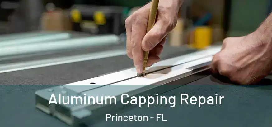  Aluminum Capping Repair Princeton - FL