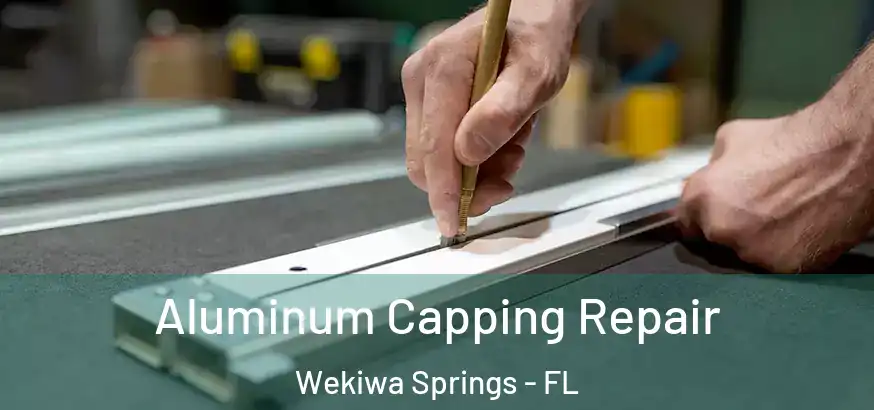  Aluminum Capping Repair Wekiwa Springs - FL