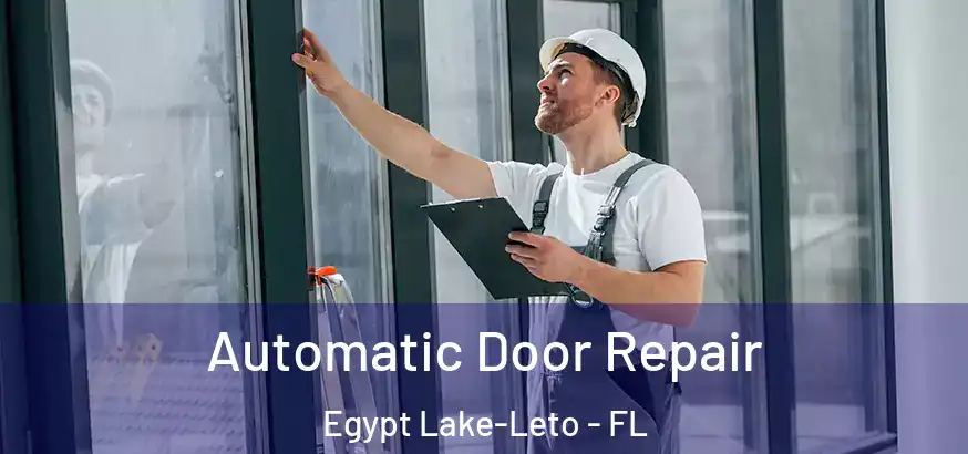 Automatic Door Repair Egypt Lake-Leto - FL