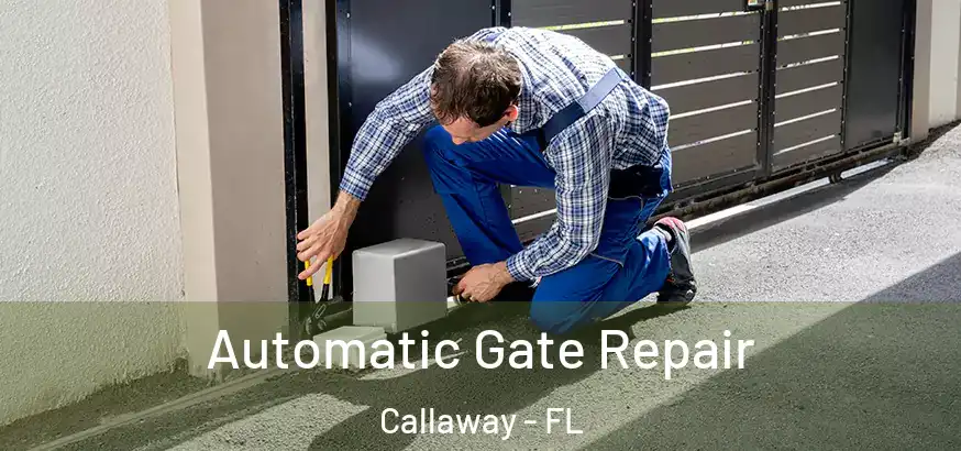  Automatic Gate Repair Callaway - FL