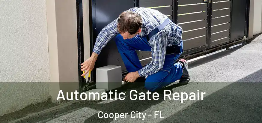  Automatic Gate Repair Cooper City - FL