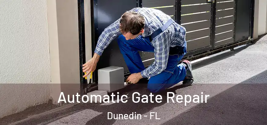 Automatic Gate Repair Dunedin - FL