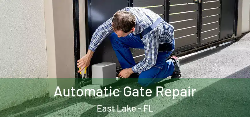  Automatic Gate Repair East Lake - FL