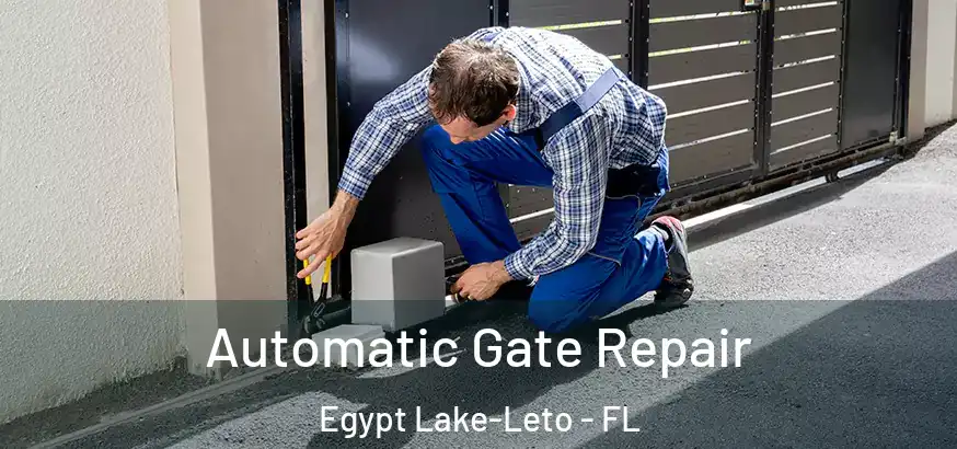  Automatic Gate Repair Egypt Lake-Leto - FL