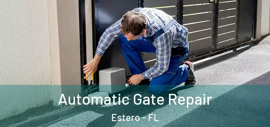  Automatic Gate Repair Estero - FL