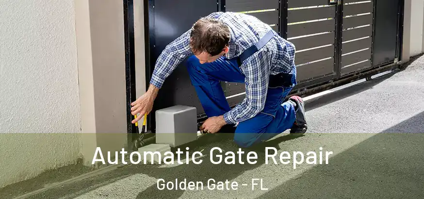  Automatic Gate Repair Golden Gate - FL