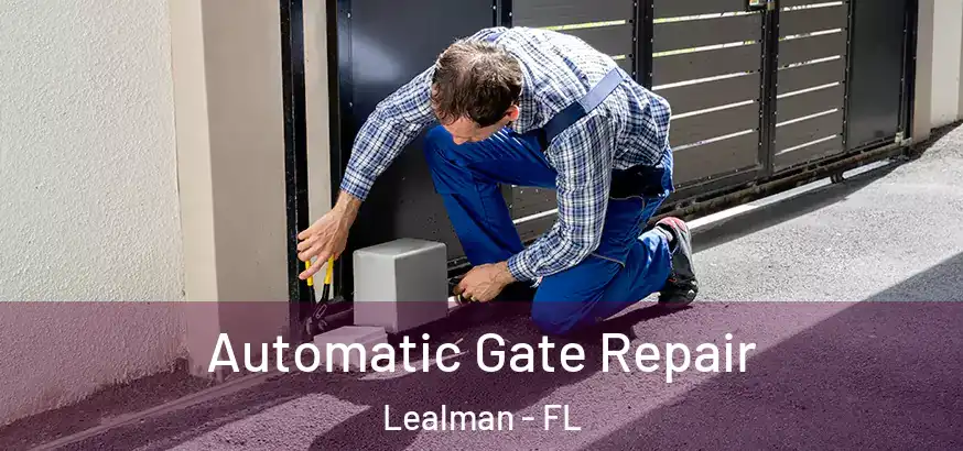 Automatic Gate Repair Lealman - FL