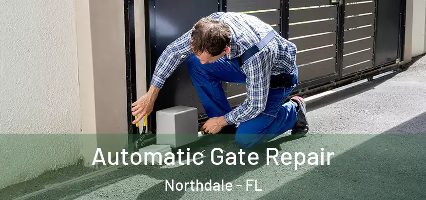  Automatic Gate Repair Northdale - FL