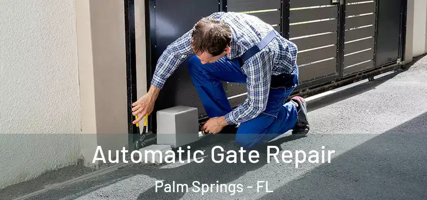  Automatic Gate Repair Palm Springs - FL