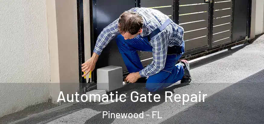 Automatic Gate Repair Pinewood - FL