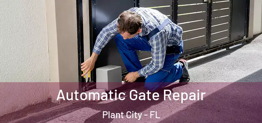  Automatic Gate Repair Plant City - FL