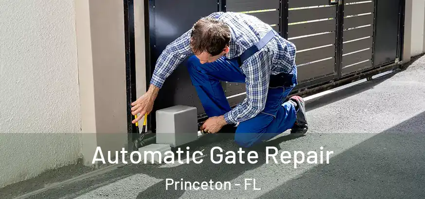 Automatic Gate Repair Princeton - FL