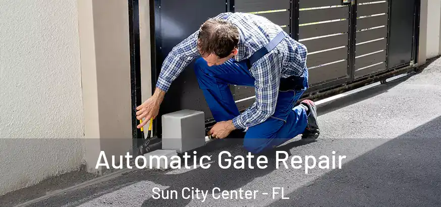  Automatic Gate Repair Sun City Center - FL