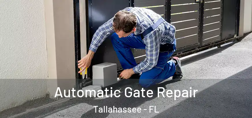  Automatic Gate Repair Tallahassee - FL