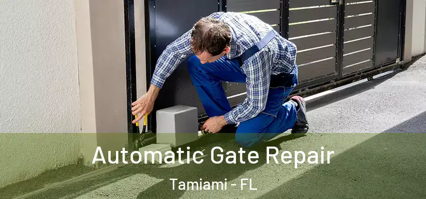  Automatic Gate Repair Tamiami - FL