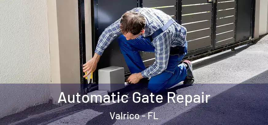  Automatic Gate Repair Valrico - FL