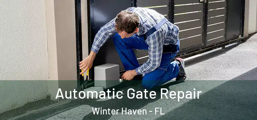  Automatic Gate Repair Winter Haven - FL
