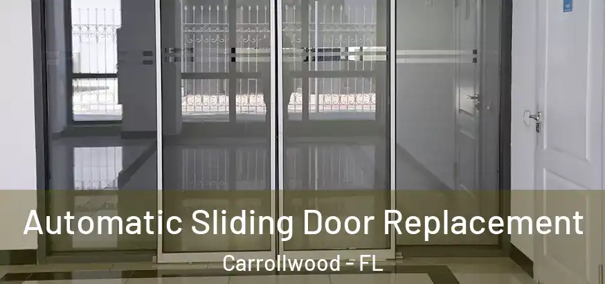  Automatic Sliding Door Replacement Carrollwood - FL
