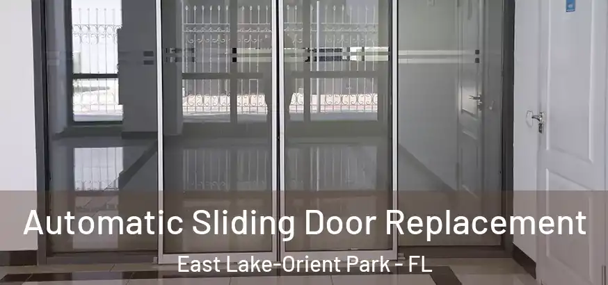  Automatic Sliding Door Replacement East Lake-Orient Park - FL
