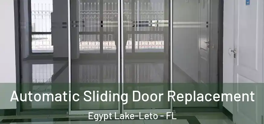 Automatic Sliding Door Replacement Egypt Lake-Leto - FL