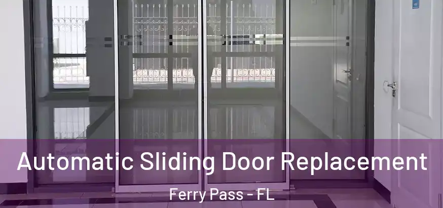  Automatic Sliding Door Replacement Ferry Pass - FL