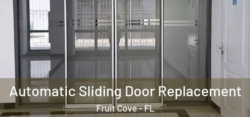 Automatic Sliding Door Replacement Fruit Cove - FL