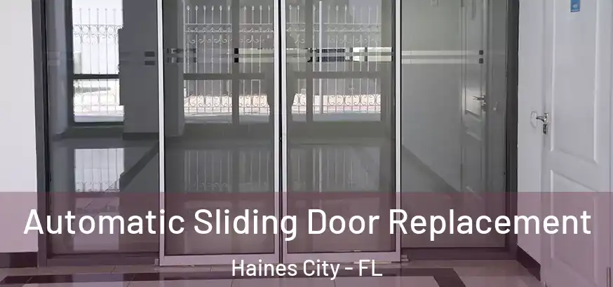 Automatic Sliding Door Replacement Haines City - FL