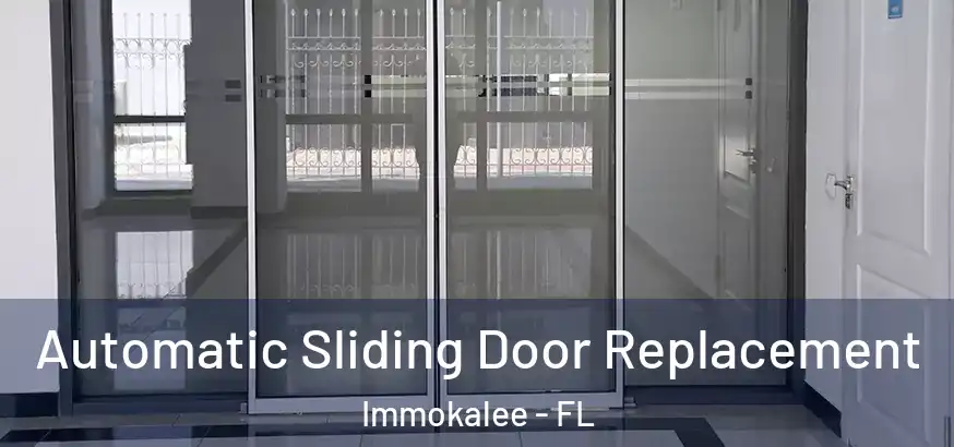  Automatic Sliding Door Replacement Immokalee - FL