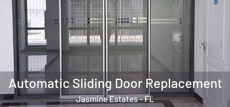 Automatic Sliding Door Replacement Jasmine Estates - FL