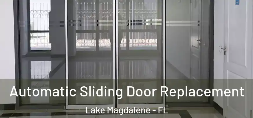  Automatic Sliding Door Replacement Lake Magdalene - FL