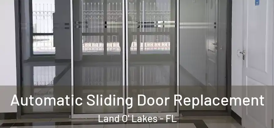  Automatic Sliding Door Replacement Land O' Lakes - FL