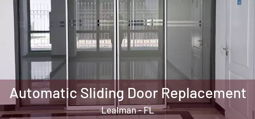 Automatic Sliding Door Replacement Lealman - FL