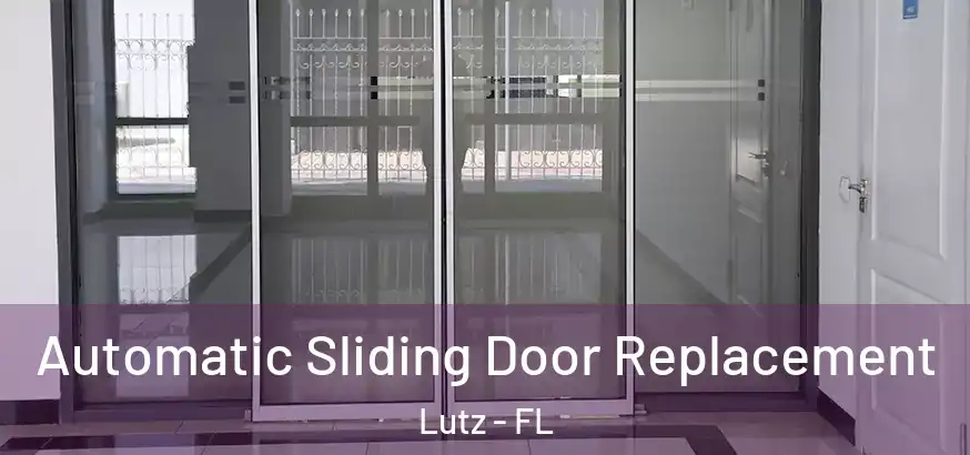 Automatic Sliding Door Replacement Lutz - FL