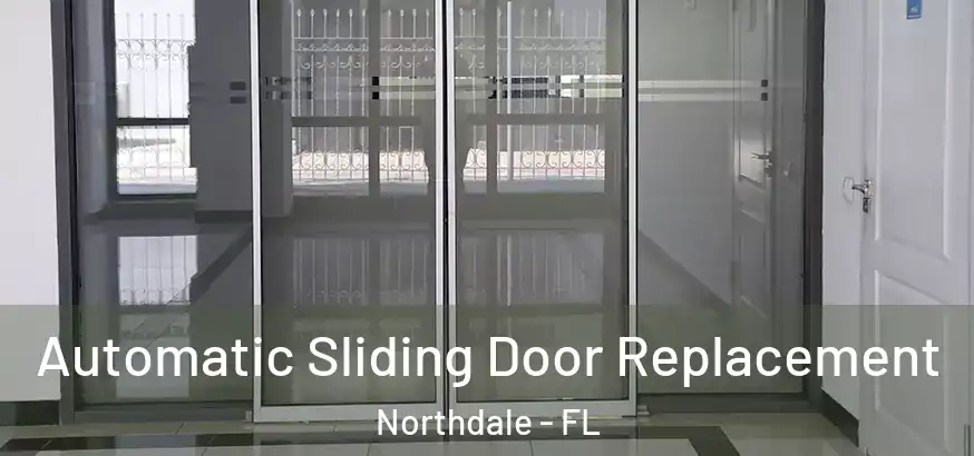  Automatic Sliding Door Replacement Northdale - FL