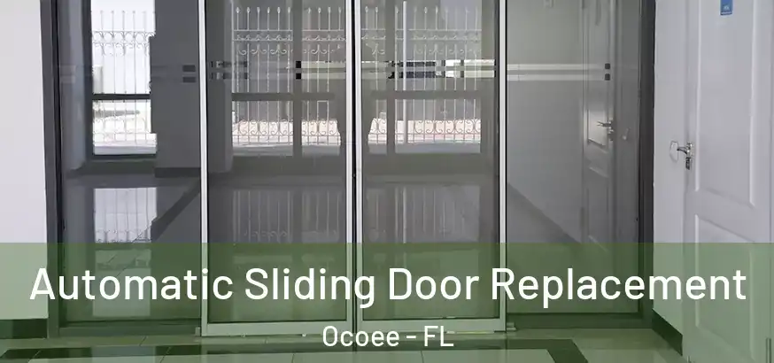  Automatic Sliding Door Replacement Ocoee - FL