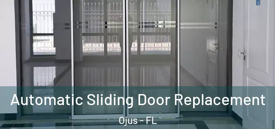 Automatic Sliding Door Replacement Ojus - FL
