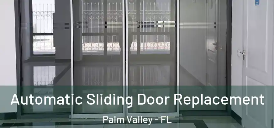  Automatic Sliding Door Replacement Palm Valley - FL