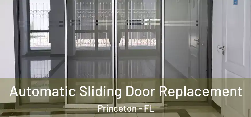 Automatic Sliding Door Replacement Princeton - FL