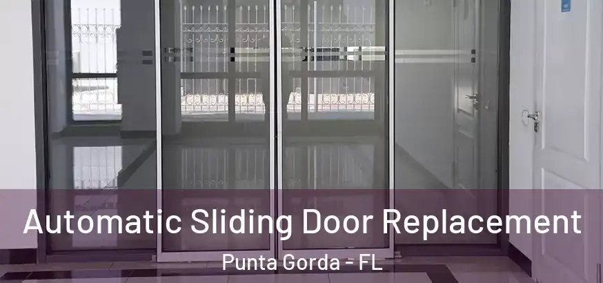 Automatic Sliding Door Replacement Punta Gorda - FL