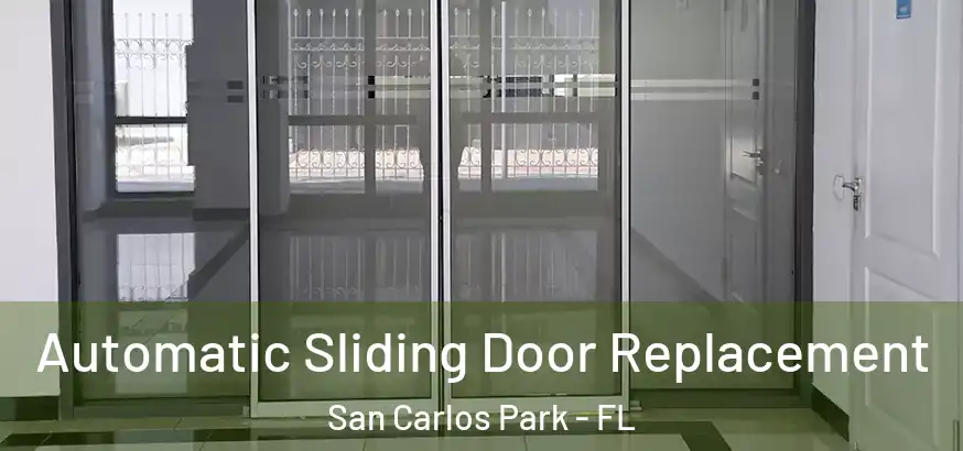  Automatic Sliding Door Replacement San Carlos Park - FL