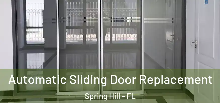  Automatic Sliding Door Replacement Spring Hill - FL